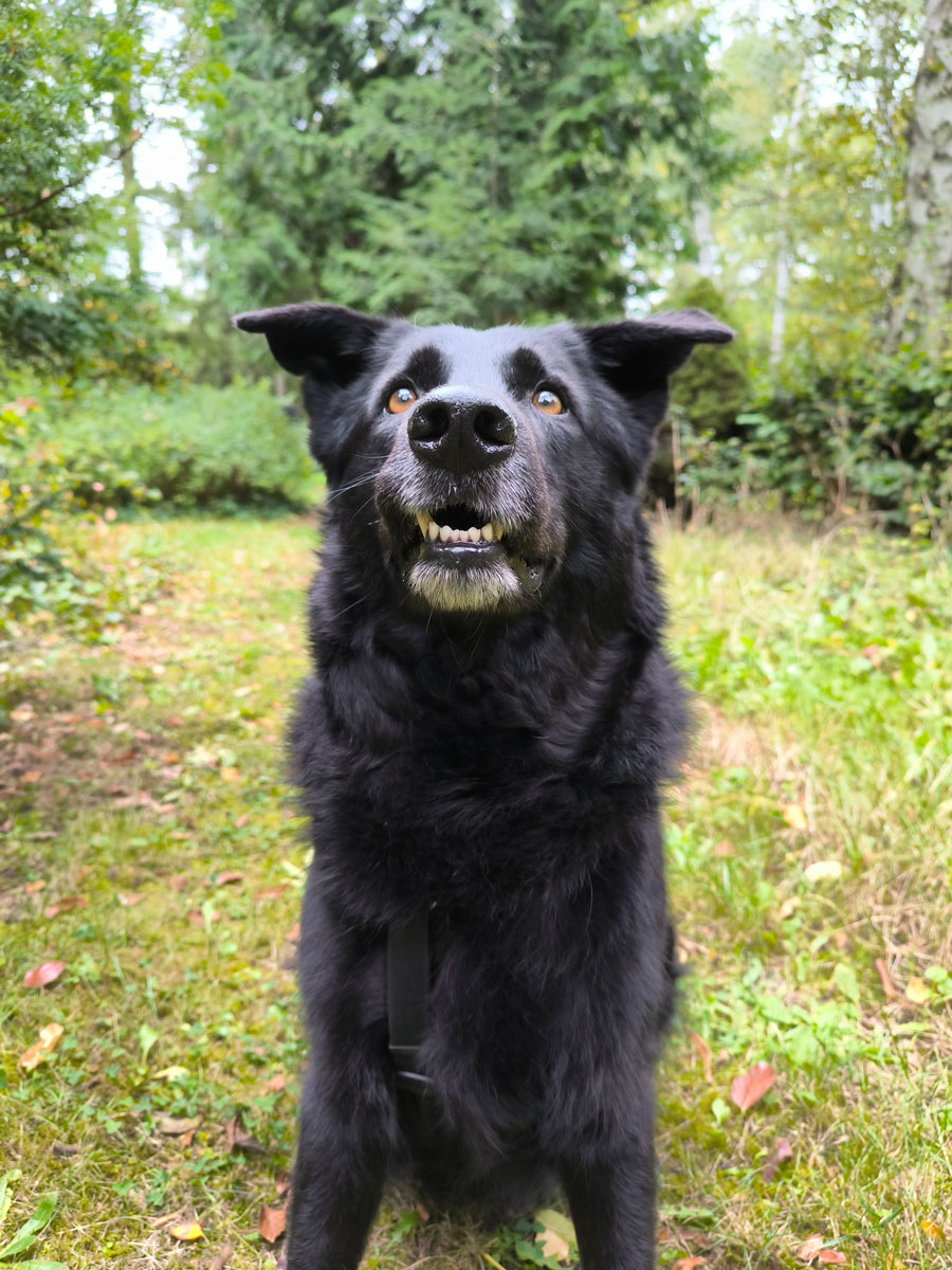 neues Foto November 2025