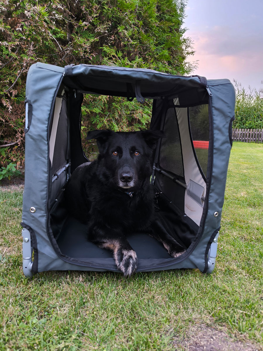 neues Foto November 2025