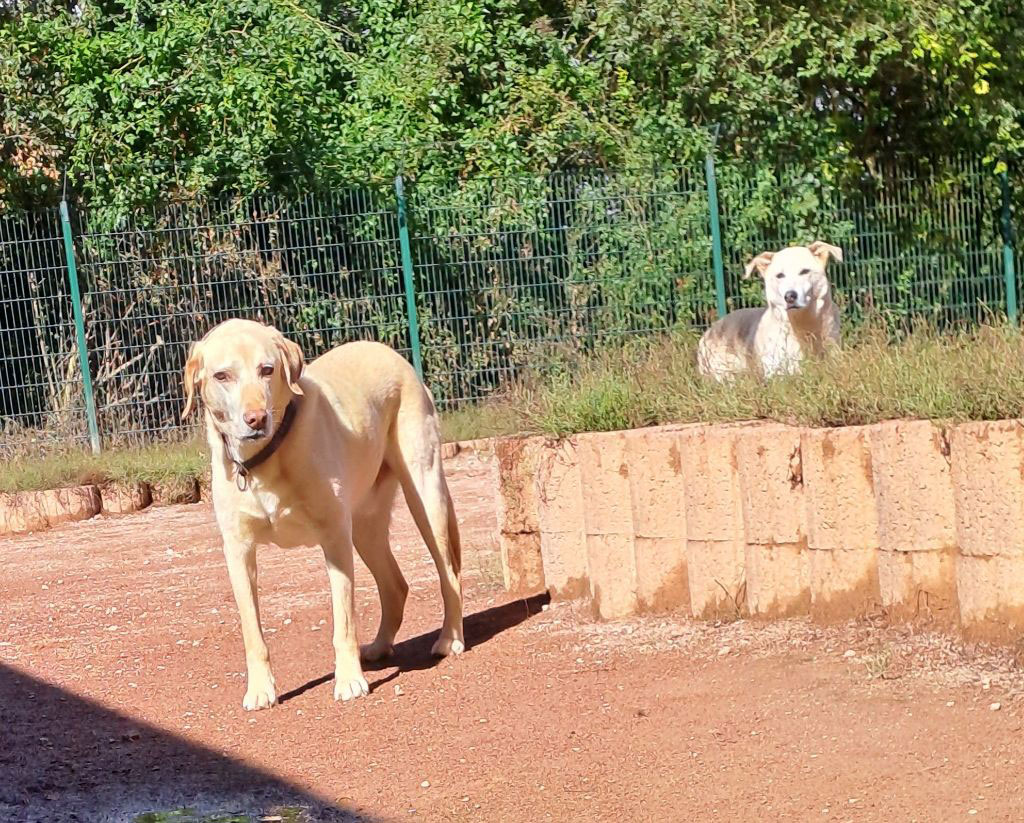 neues Foto November 2025