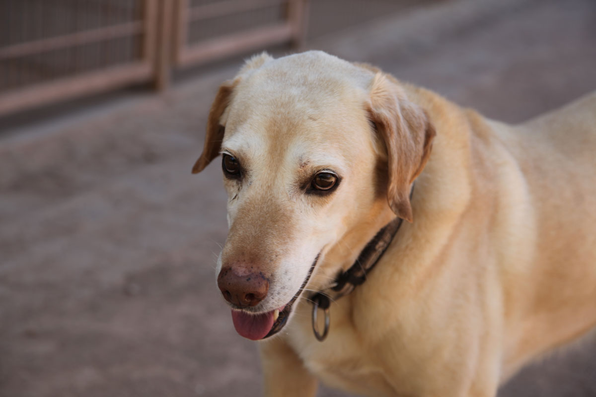 neues Foto November 2025