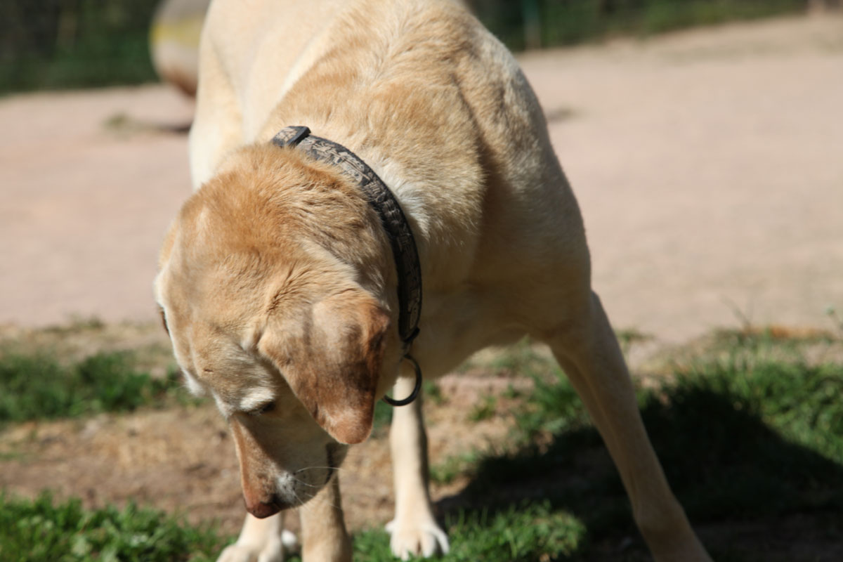 neues Foto November 2025