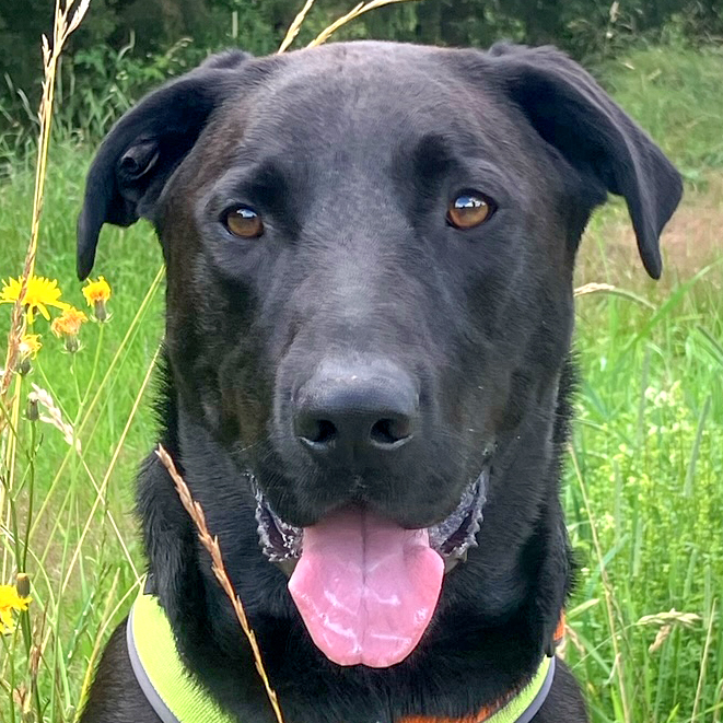 neues Foto November 2025