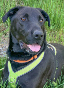 neues Foto November 2025