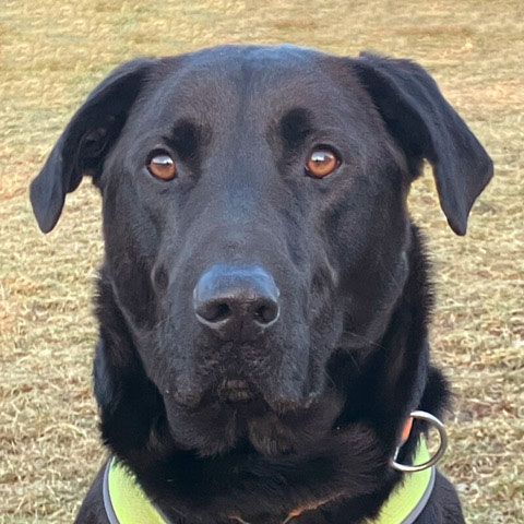 neues Foto November 2025