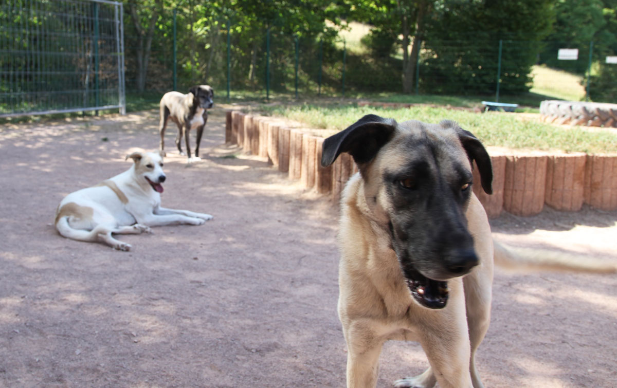 neues Foto November 2025