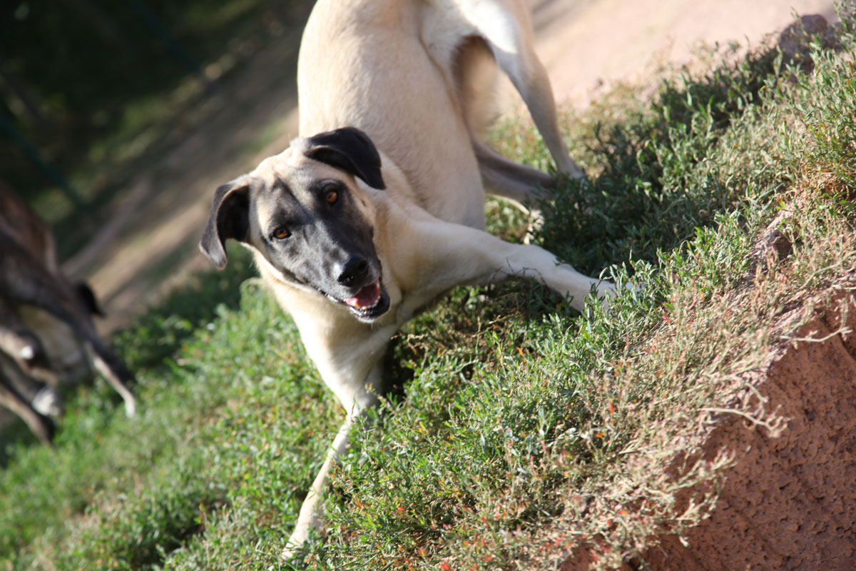 neues Foto November 2025 - Little "spiel mit mir"