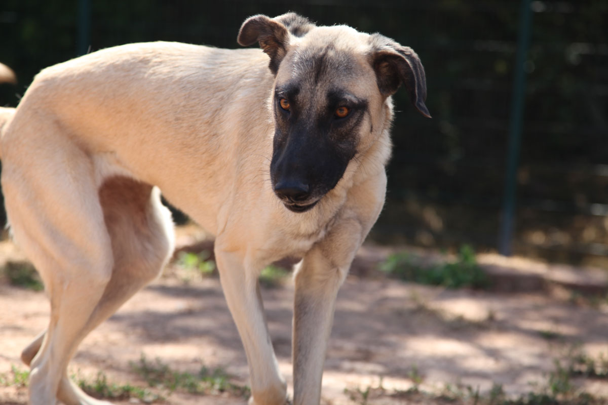 neues Foto November 2025