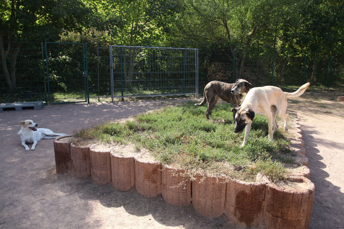 neues Foto November 2025