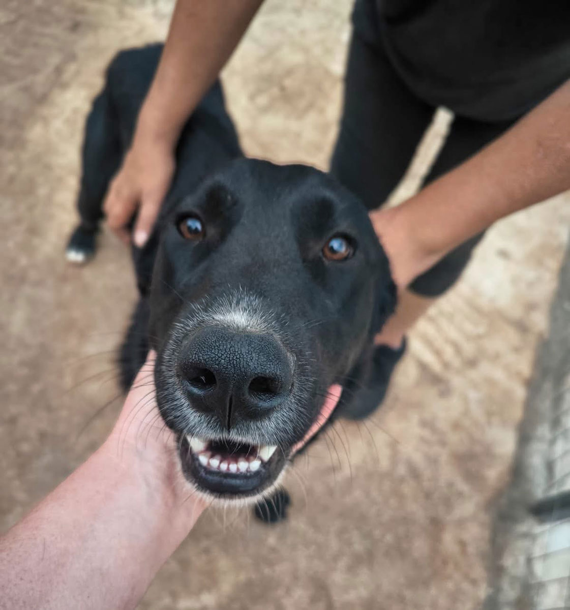 neues Foto November 2025