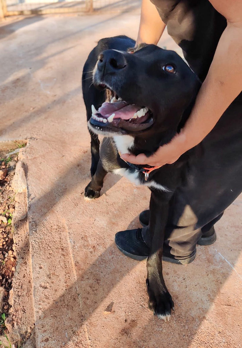 neues Foto November 2025