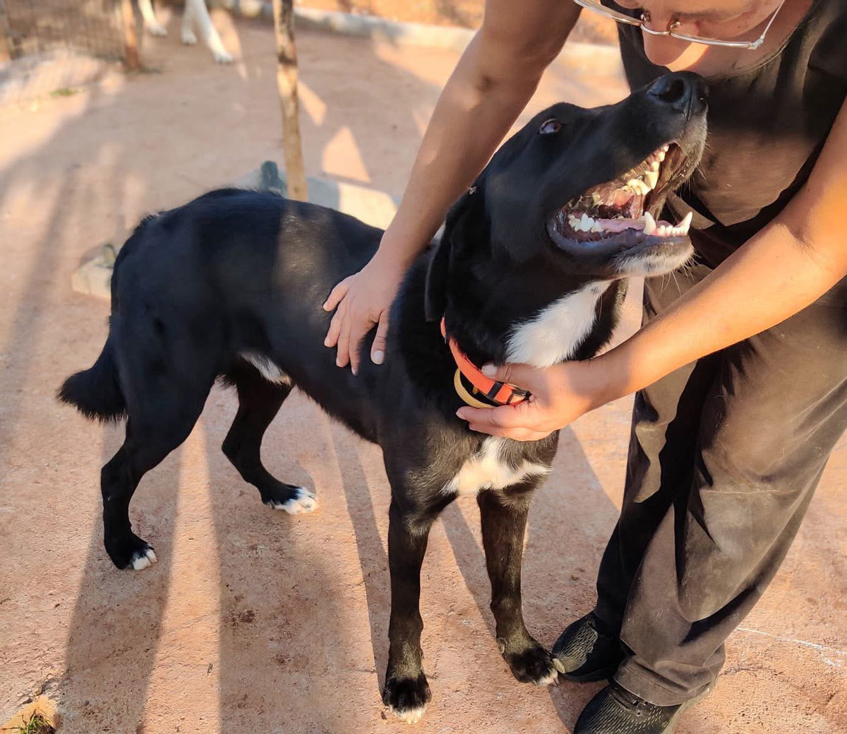 neues Foto November 2025