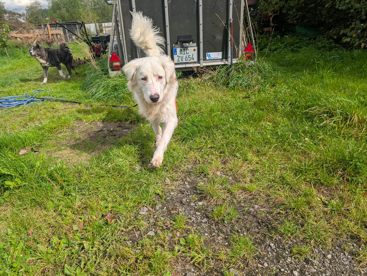 neues Foto November 2025