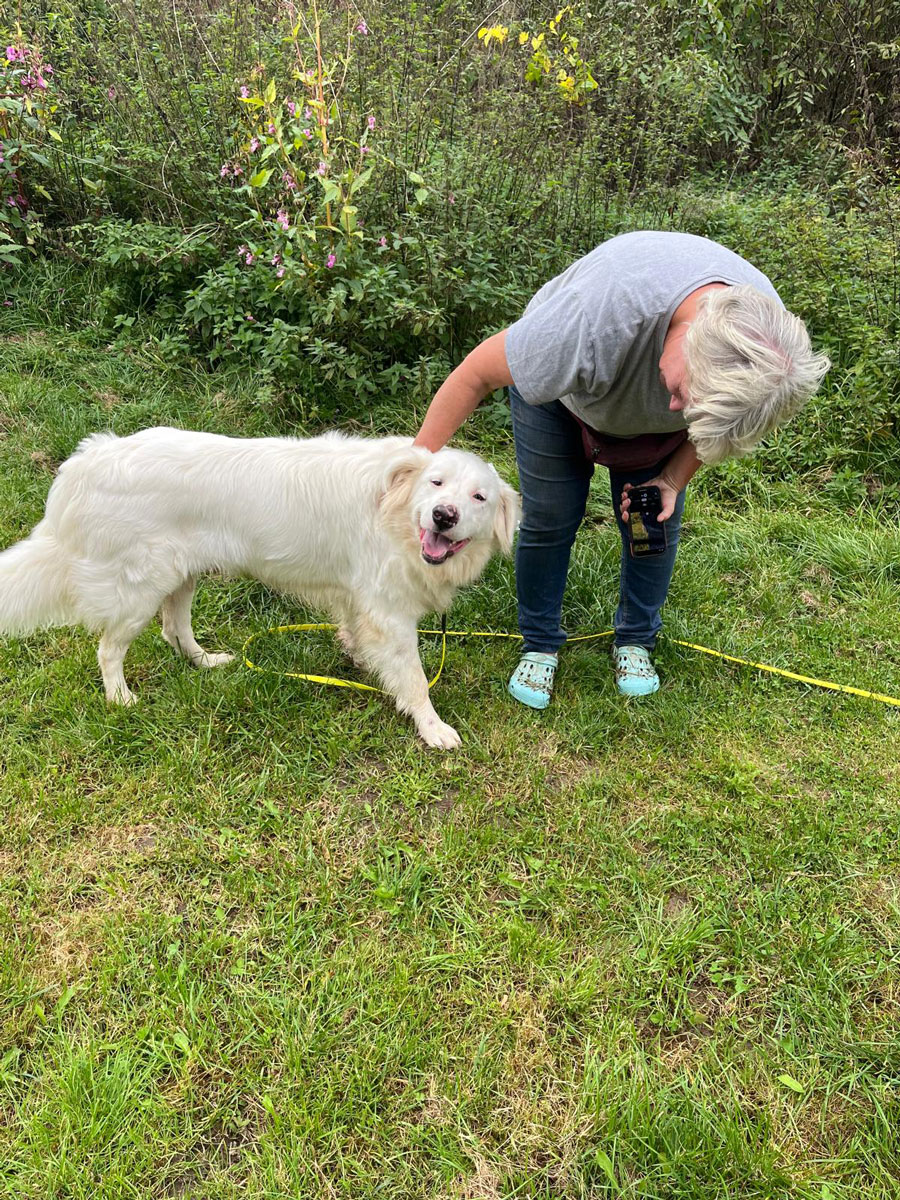 neues Foto November 2025