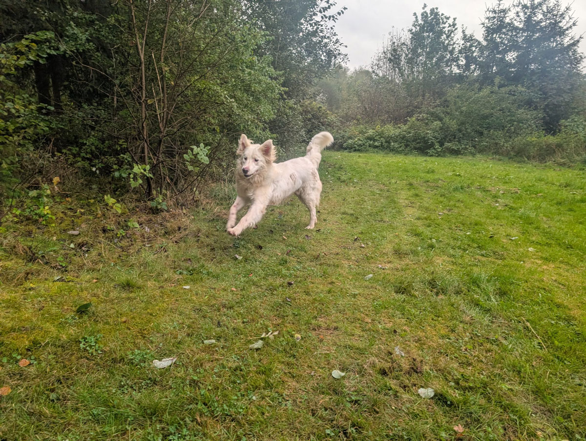 neues Foto November 2025