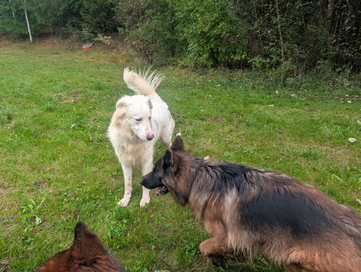 neues Foto November 2025