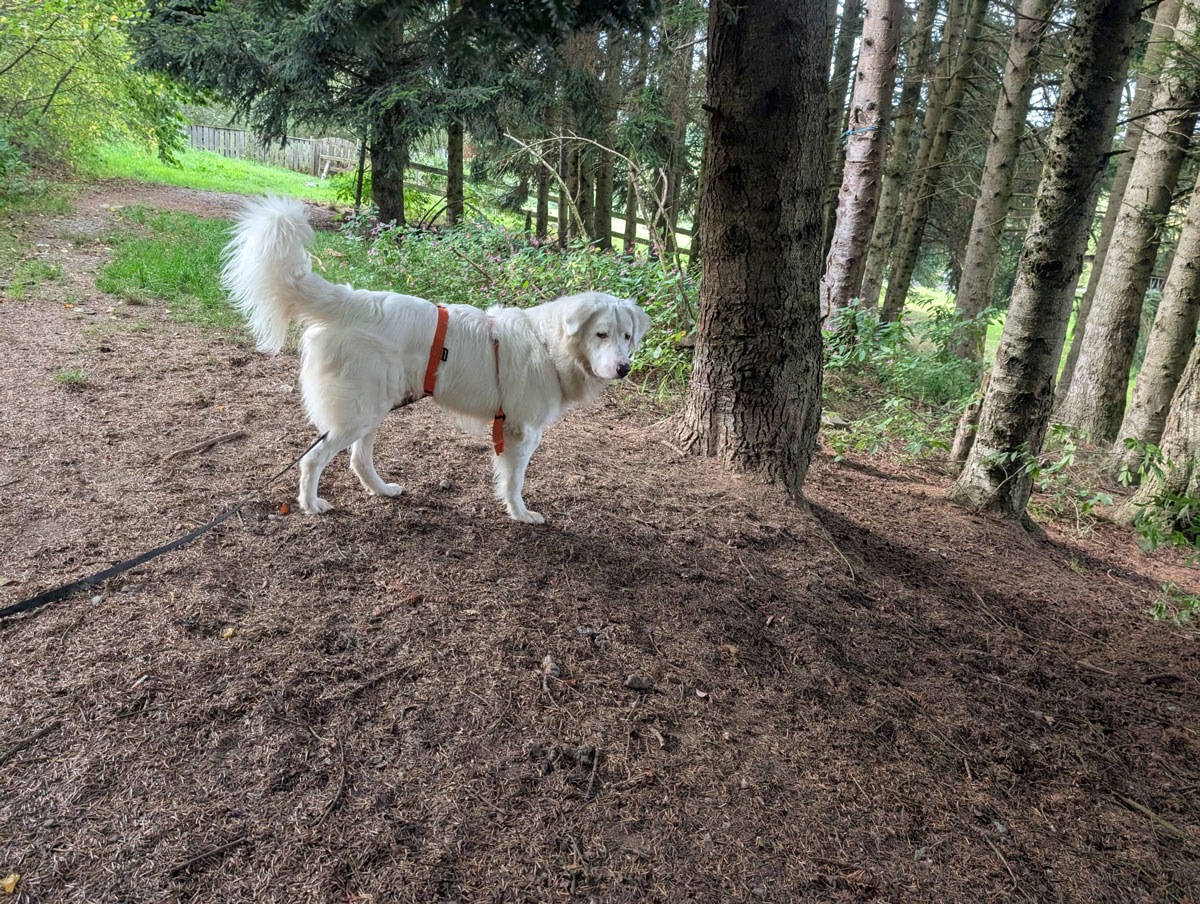 neues Foto November 2025