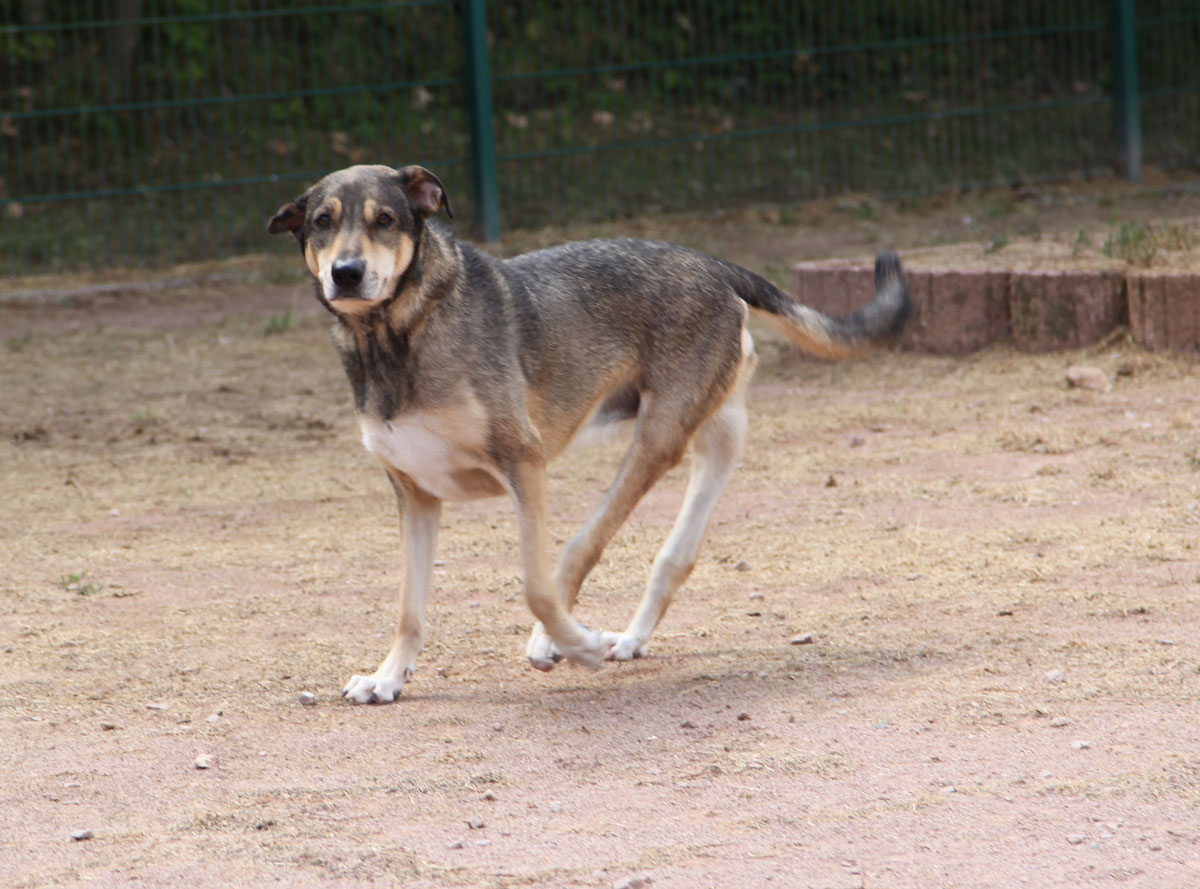 neues Foto November 2025