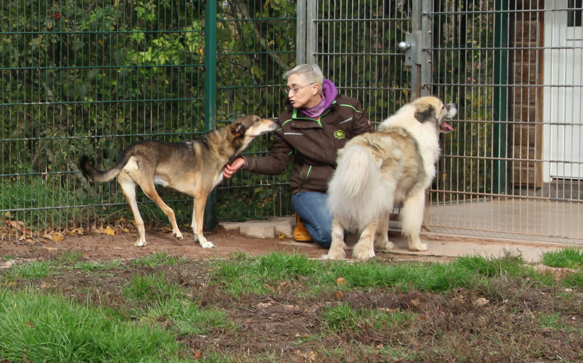 neues Foto November 2025