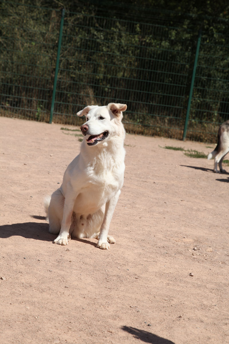 neues Foto November 2025