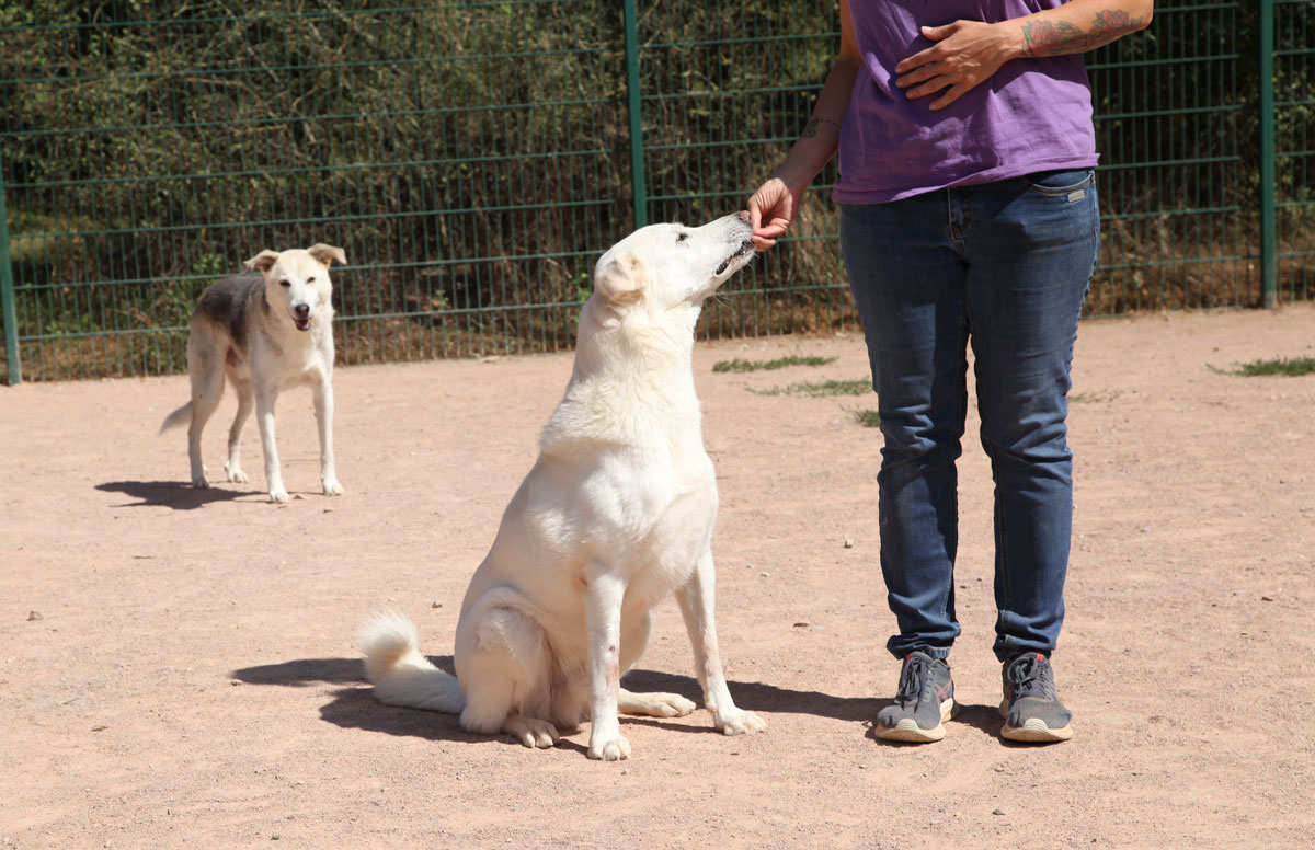 neues Foto November 2025