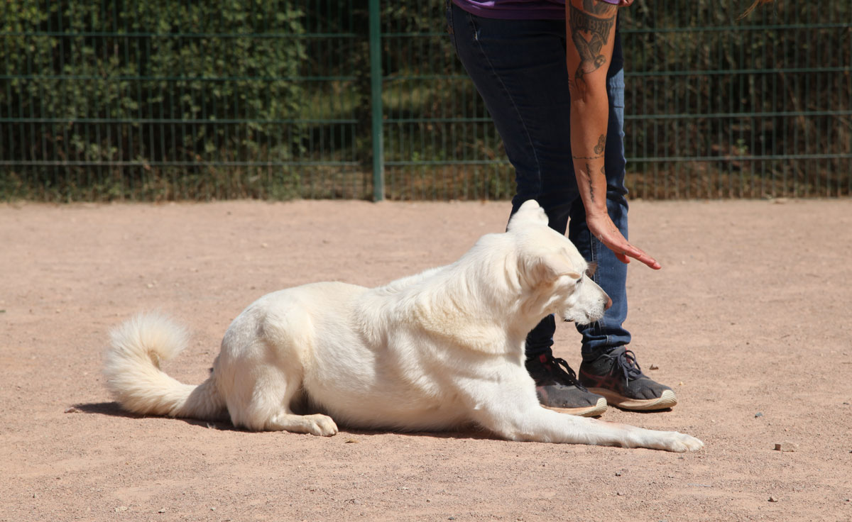 neues Foto November 2025