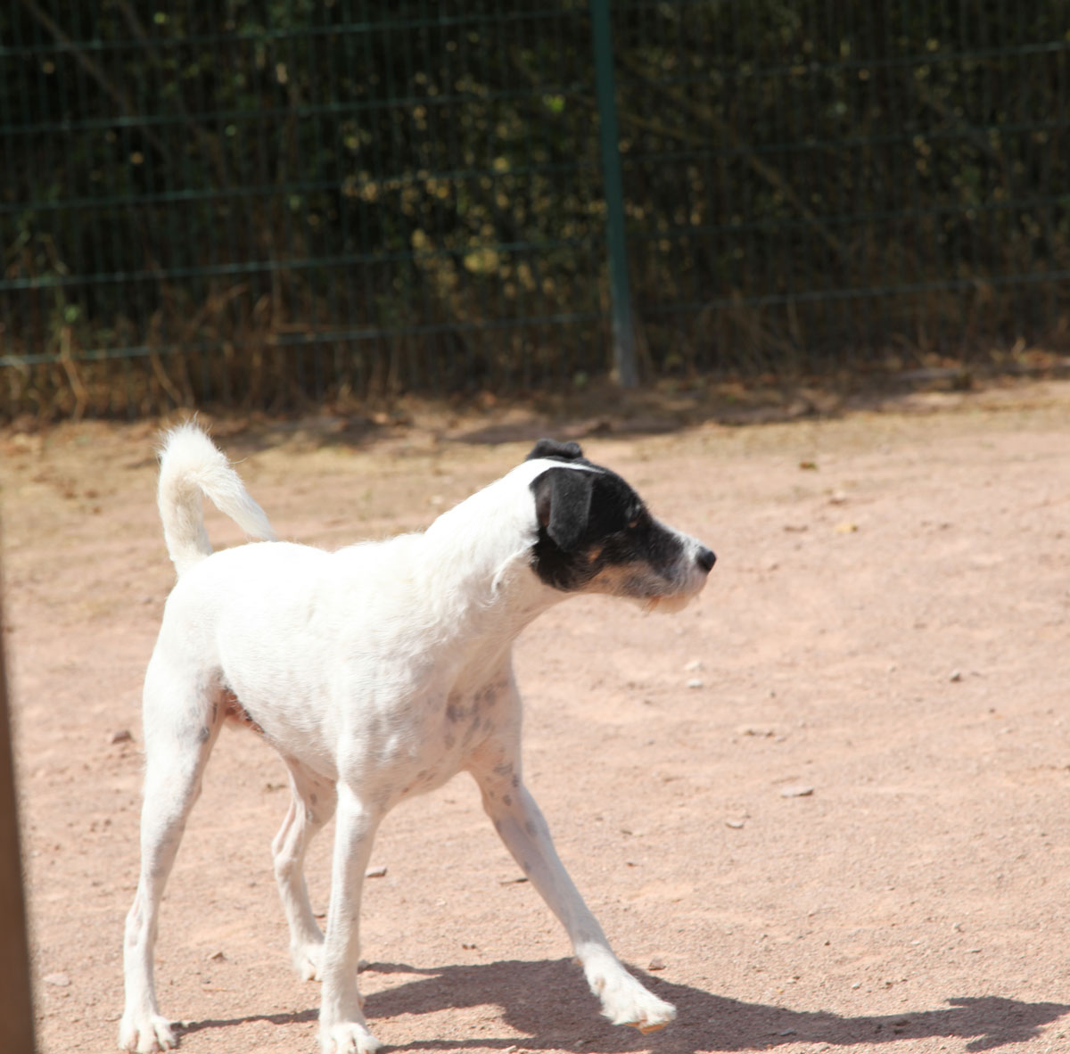 neues Foto November 2025