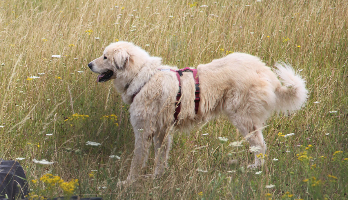 neues Foto November 2025