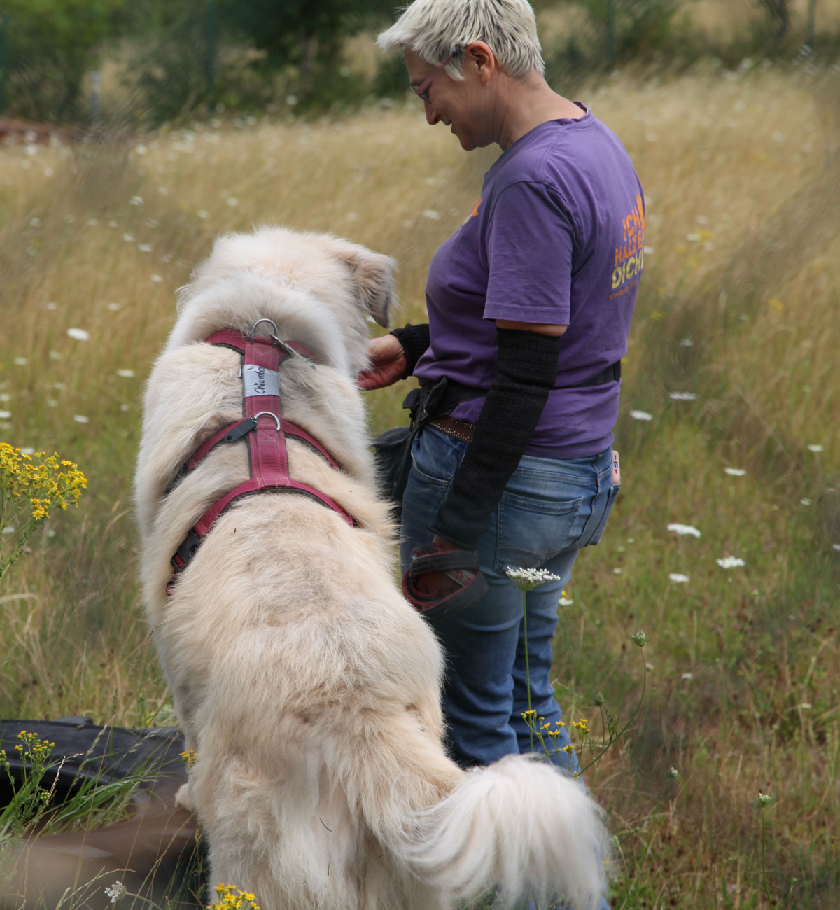 neues Foto November 2025