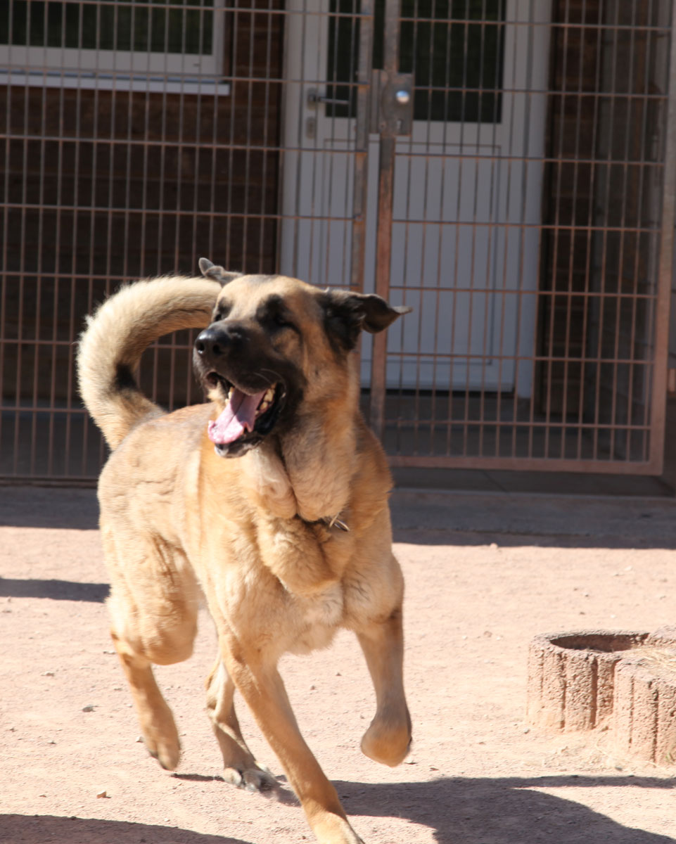 neues Foto November 2025