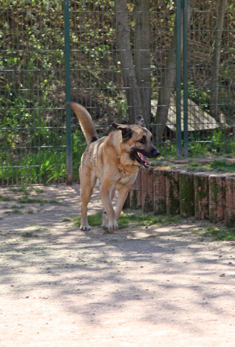 neues Foto November 2025