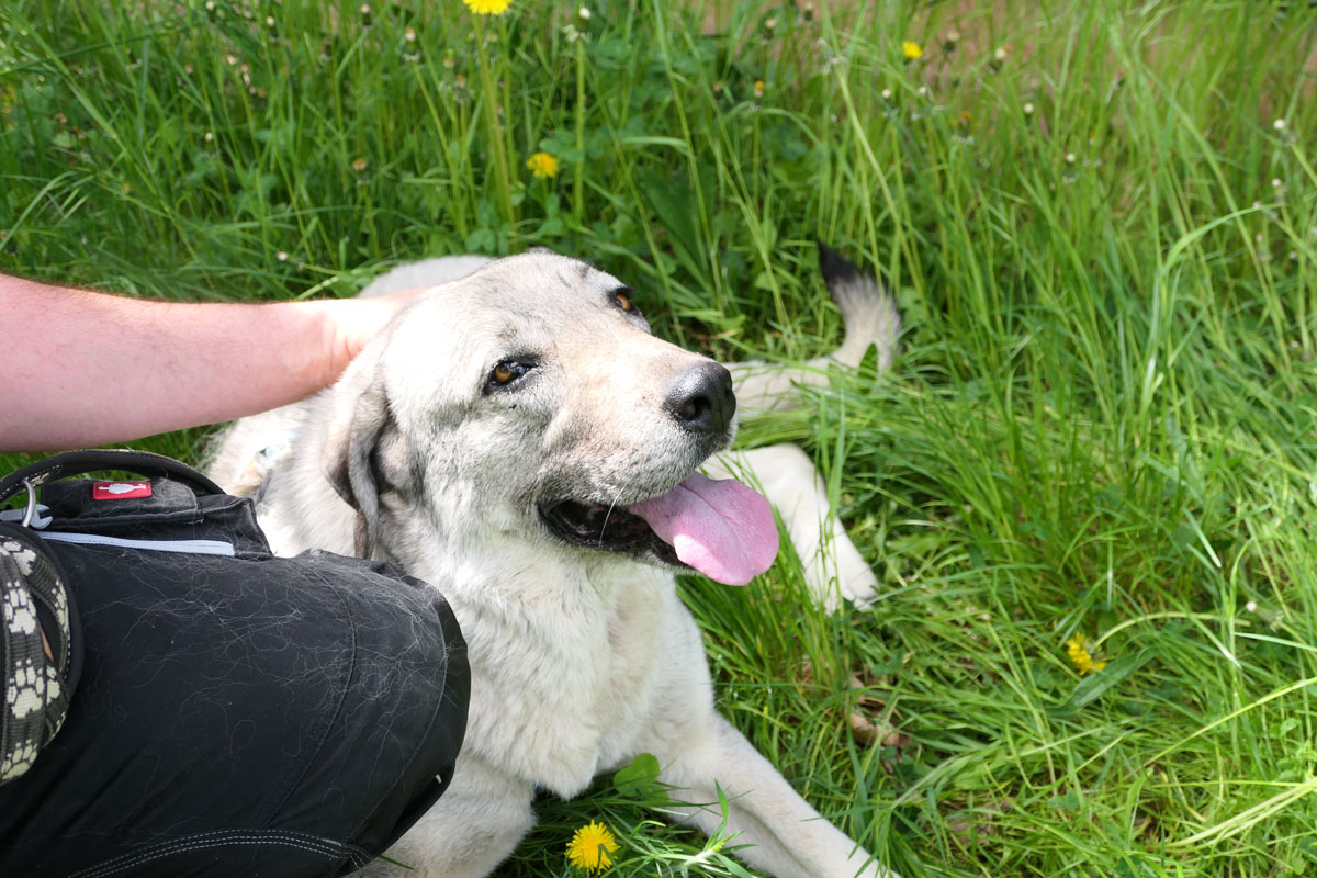 neue Foto November 2025