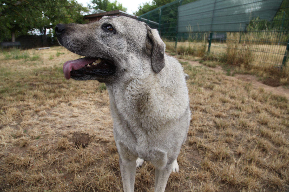 neue Foto November 2025