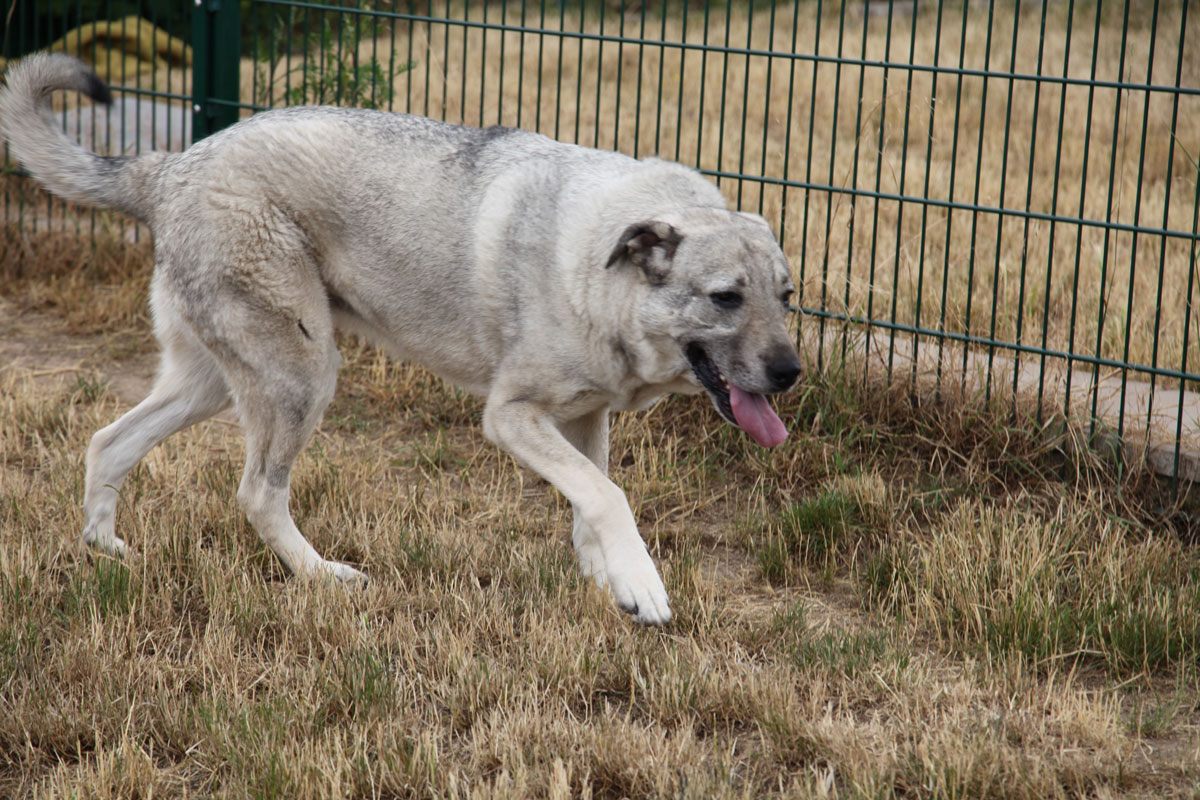 neue Foto November 2025