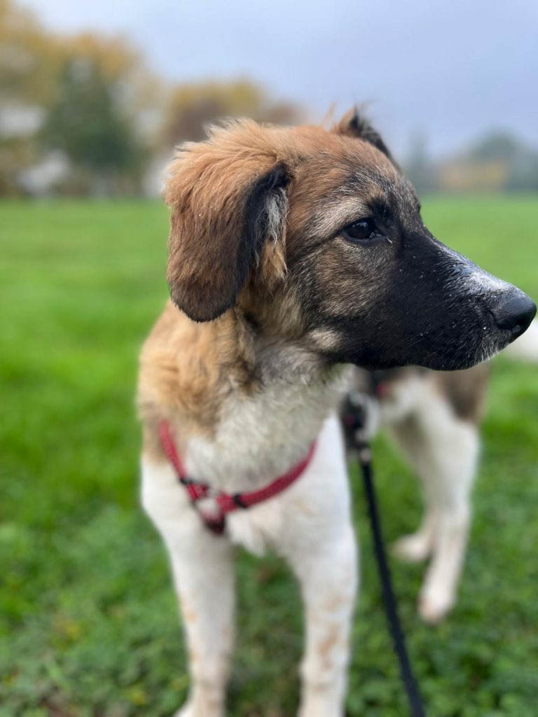 neues Foto November 2025