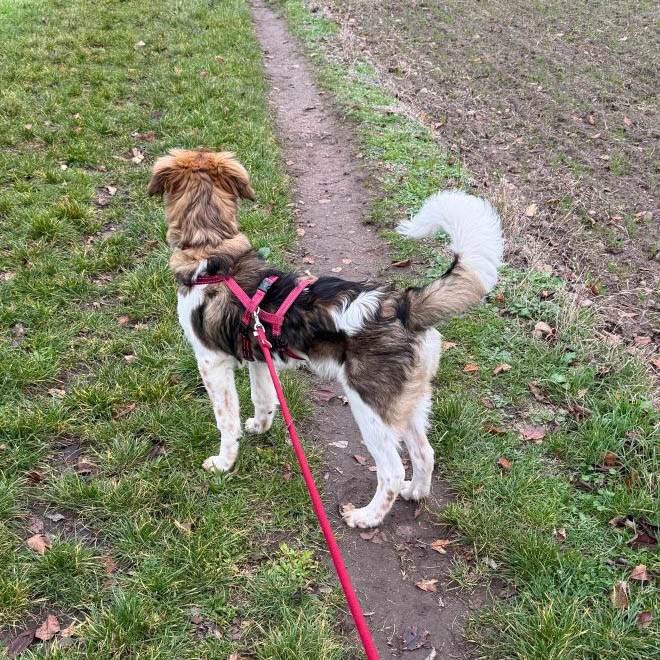 neues Foto November 2025