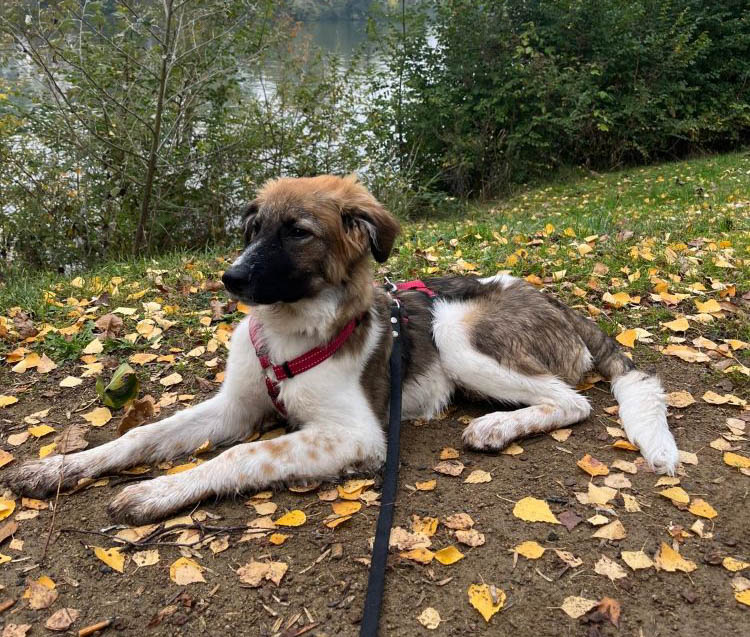 neues Foto November 2025