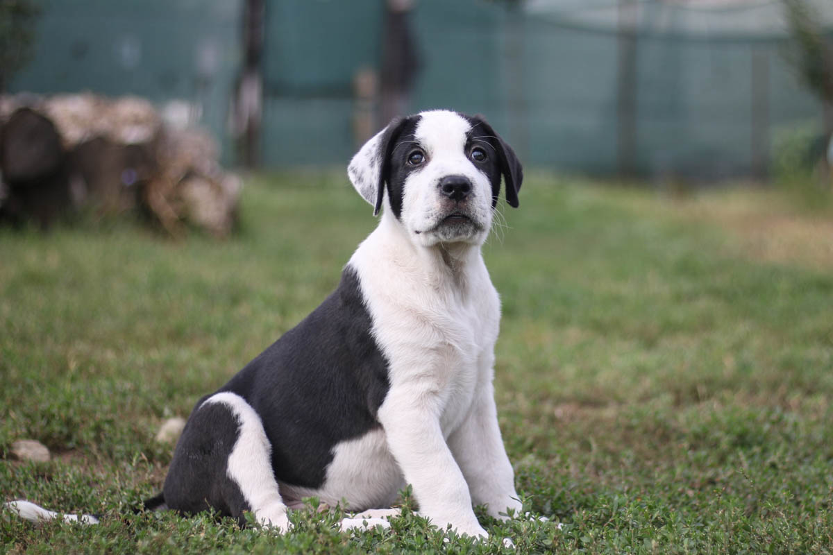 neues Foto November 2025 - Mino