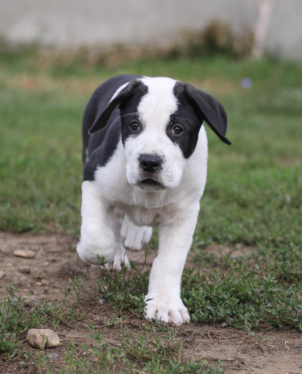 neues Foto November 2025 - Mino