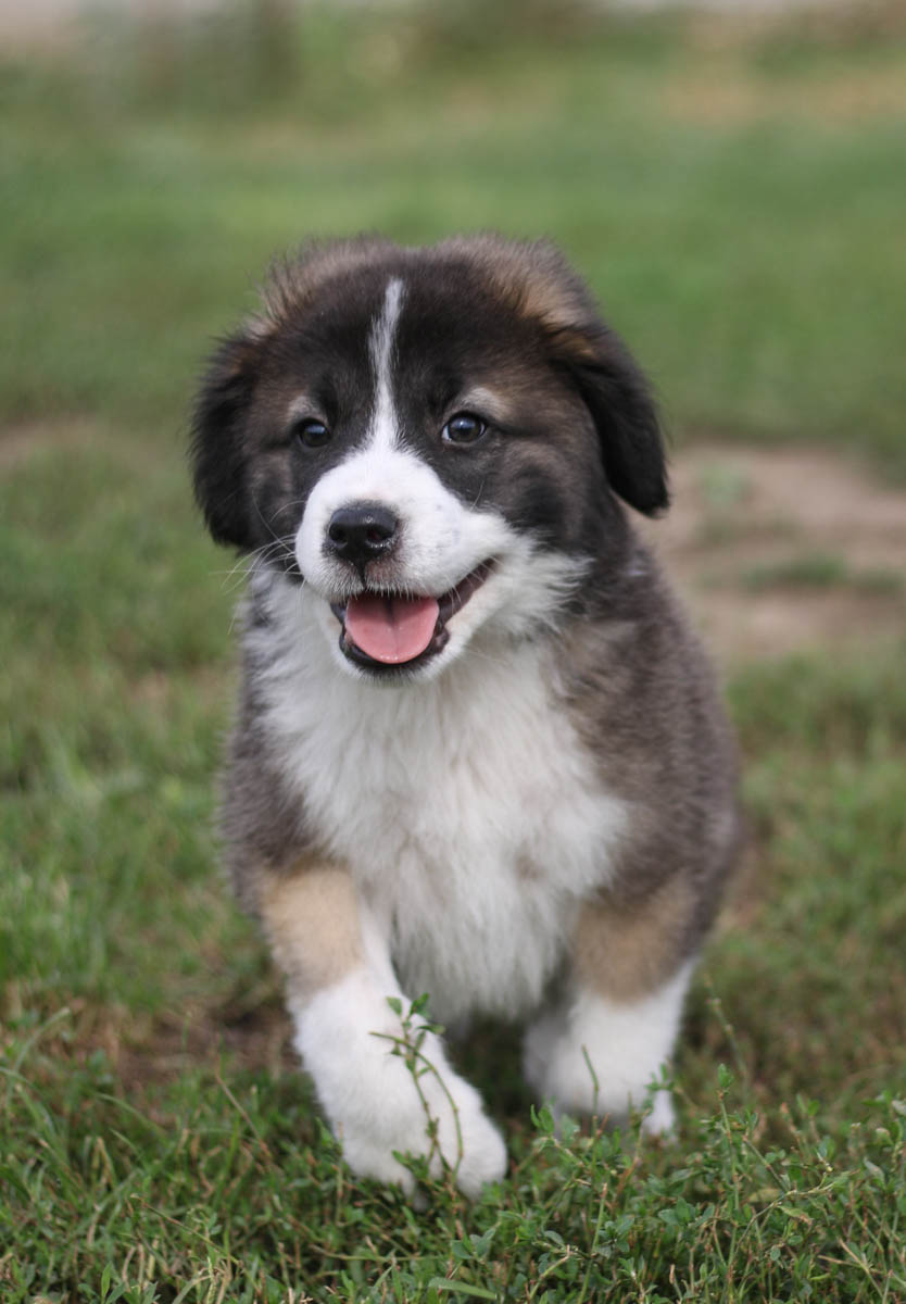 neues Foto November 2025 - Timmy