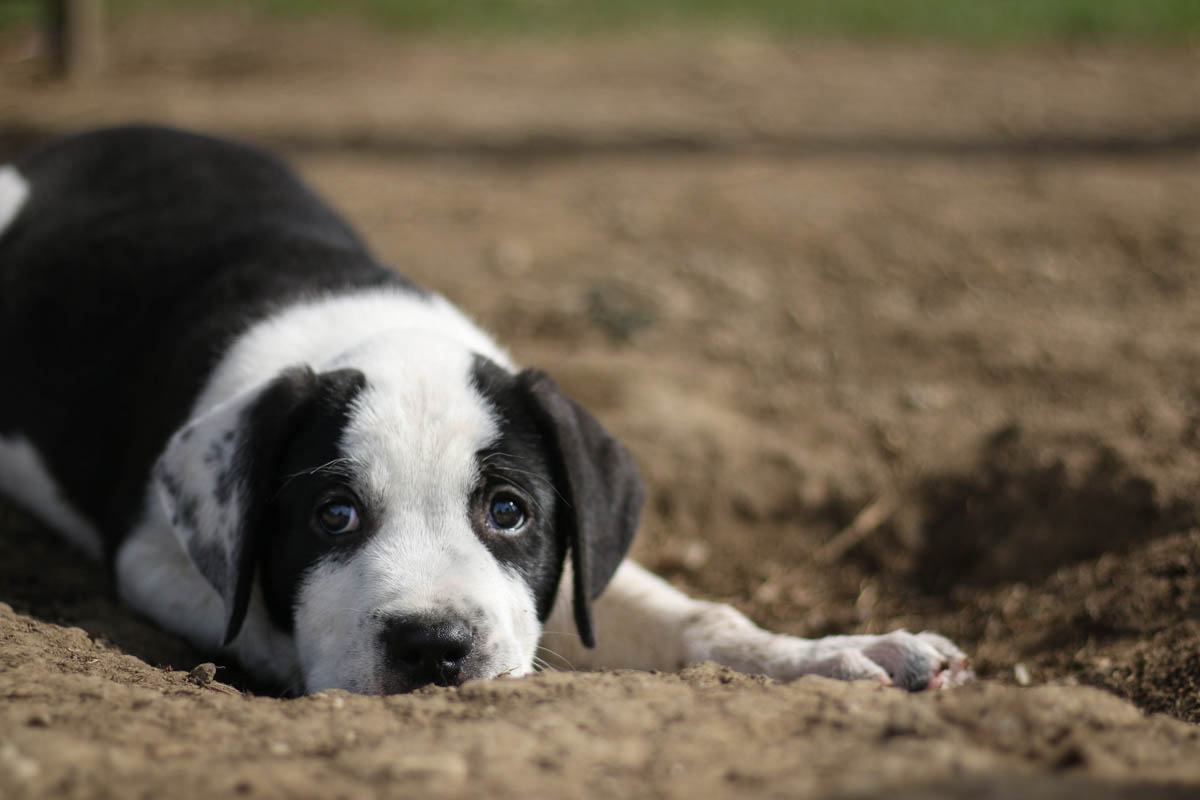 neues Foto November 2025 - Mino