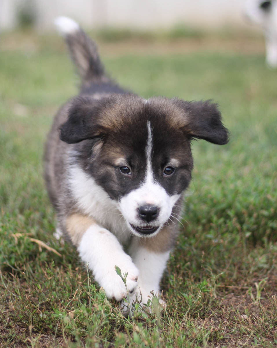 neues Foto November 2025 - Tmmy