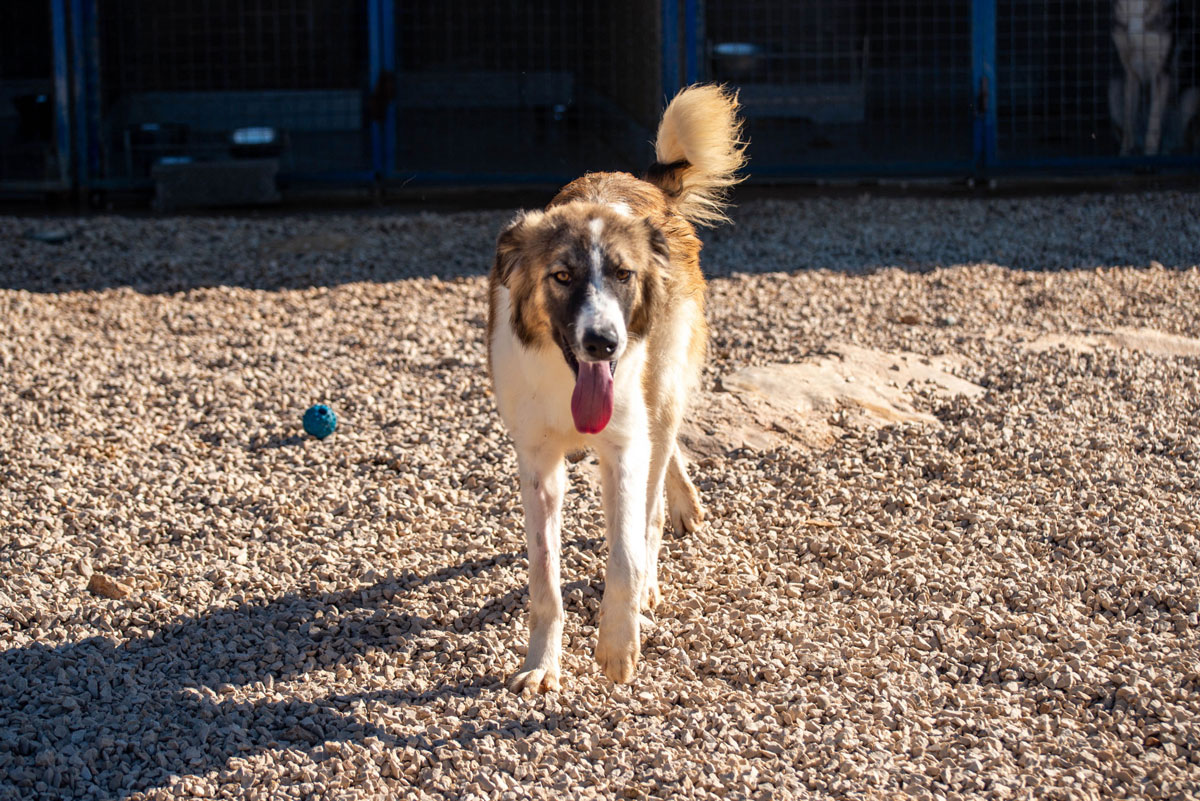 neues Foto November 2025 - Bandon