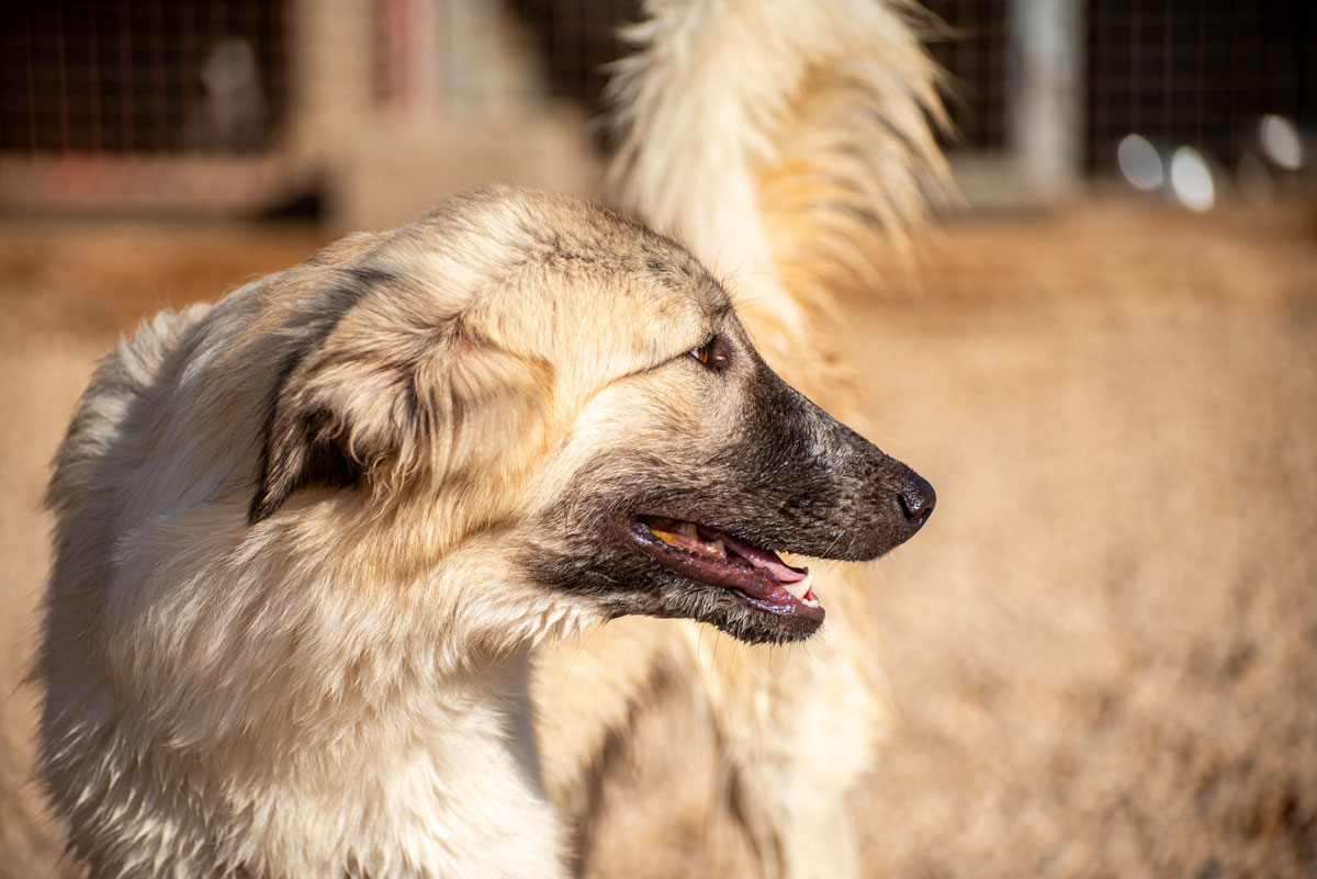 neues Foto November 2025 - Liesa