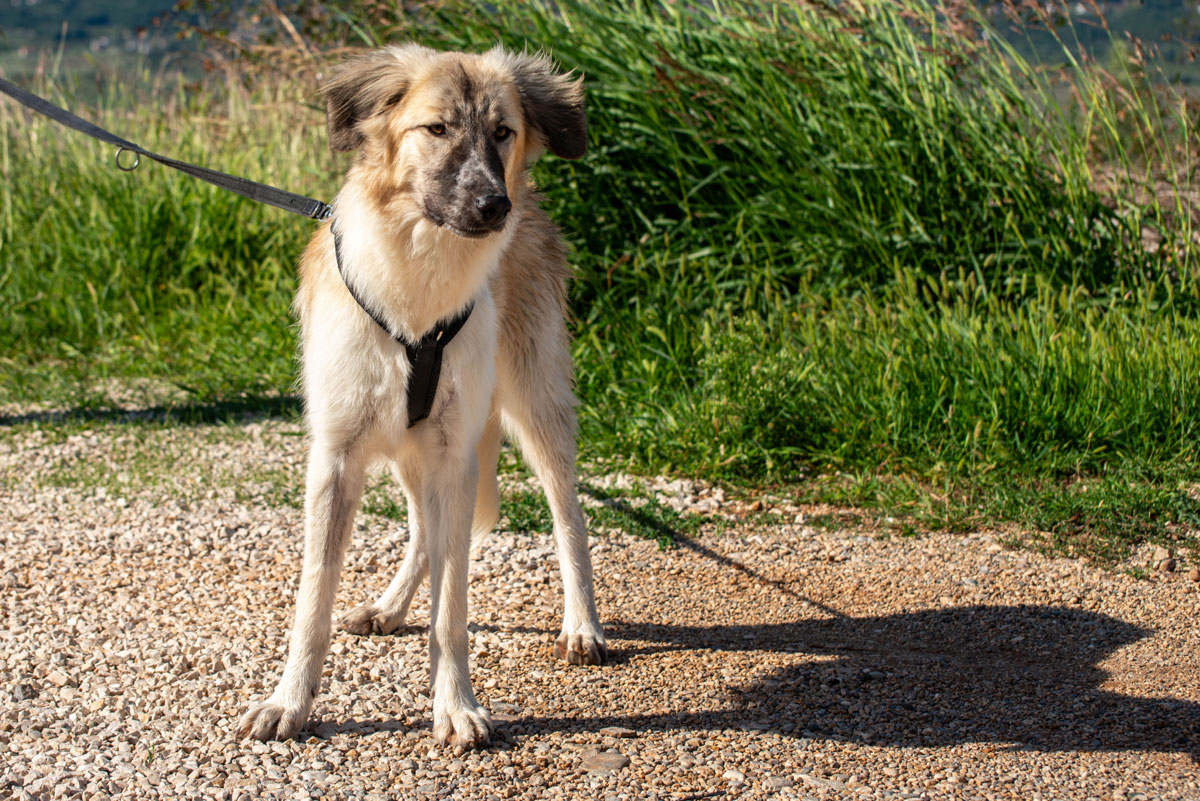 neues Foto November 2025 - Liesa