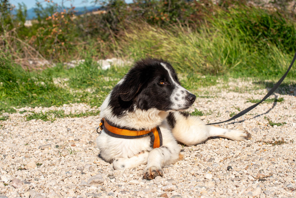 neues Foto November 2025 - Morrisson