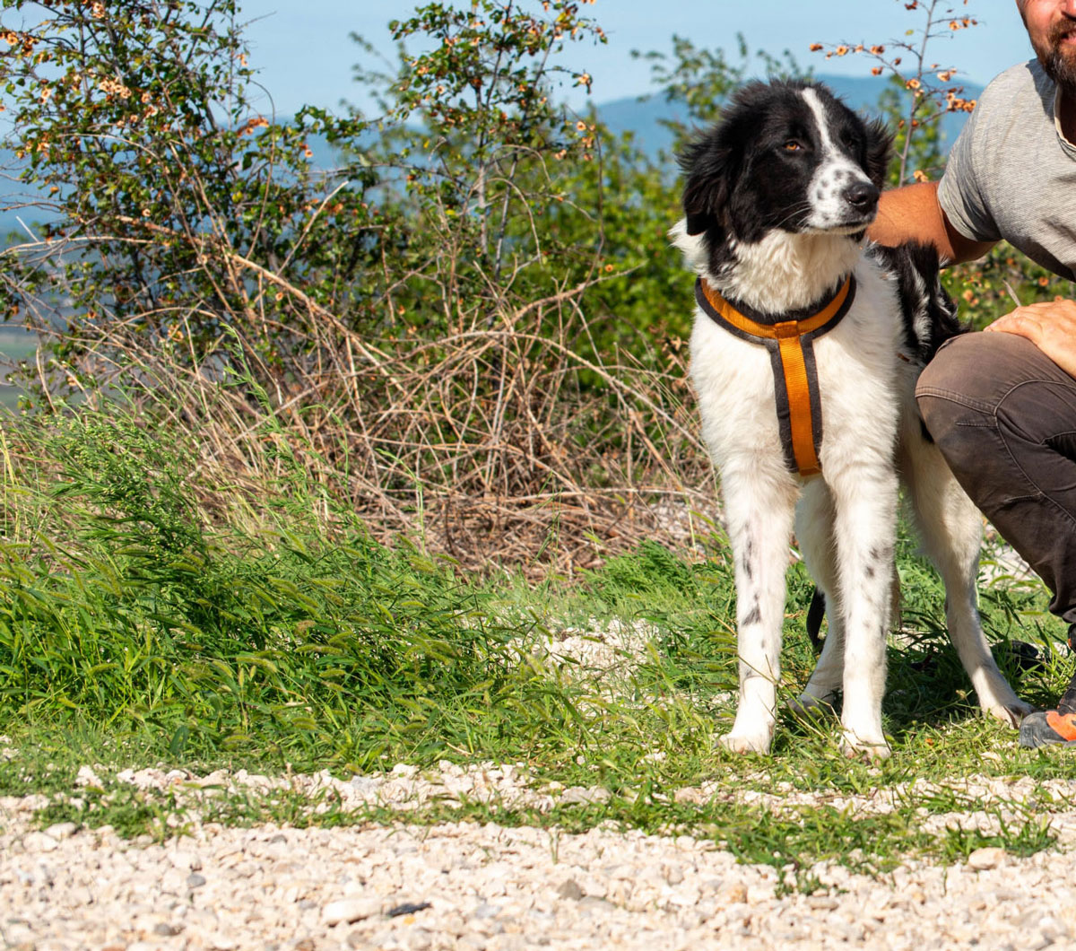 neues Foto November 2025 - Morrisson