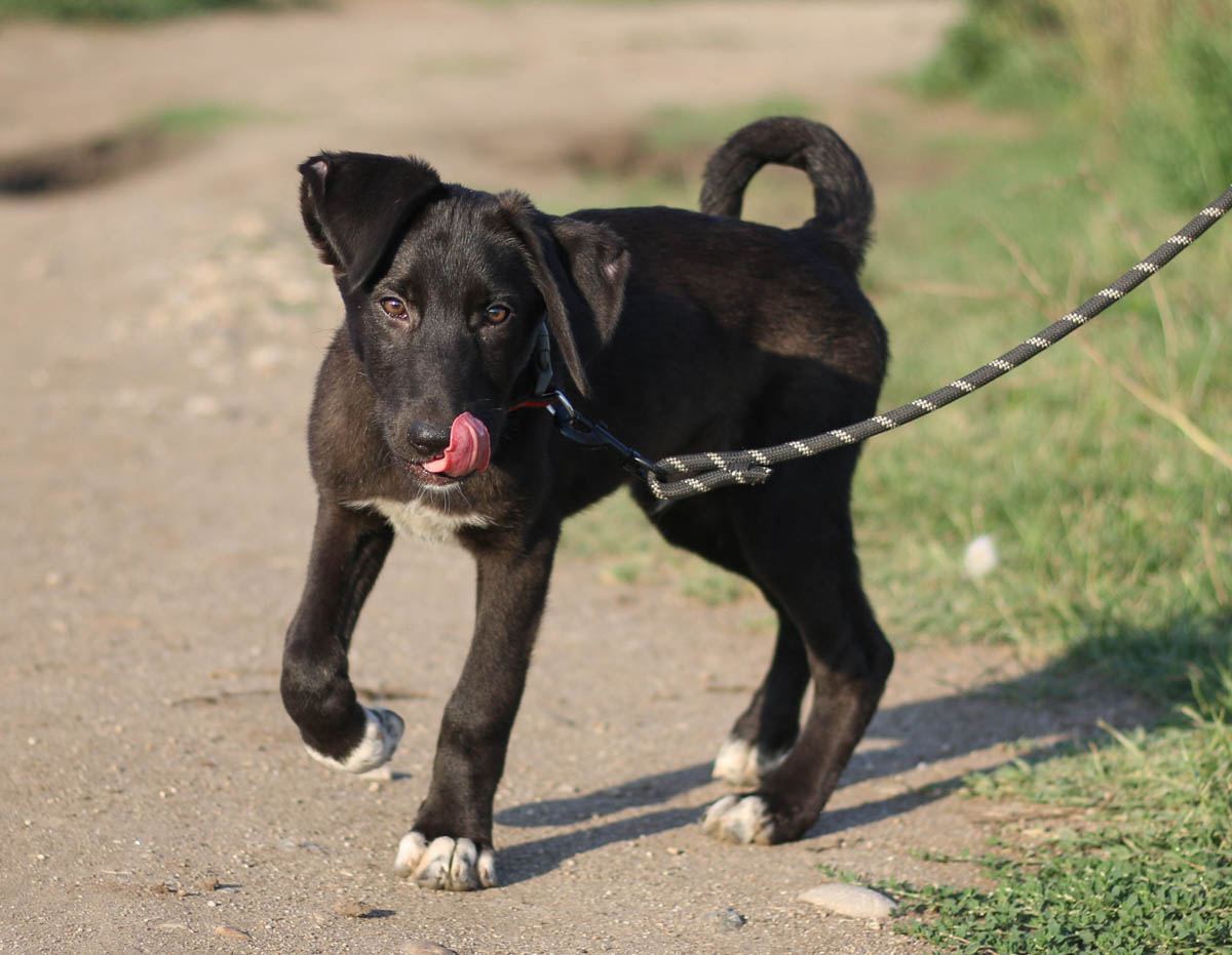 neues Foto November 2025