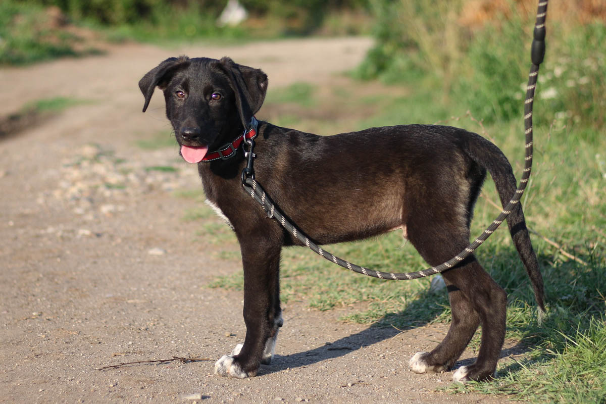 neues Foto November 2025