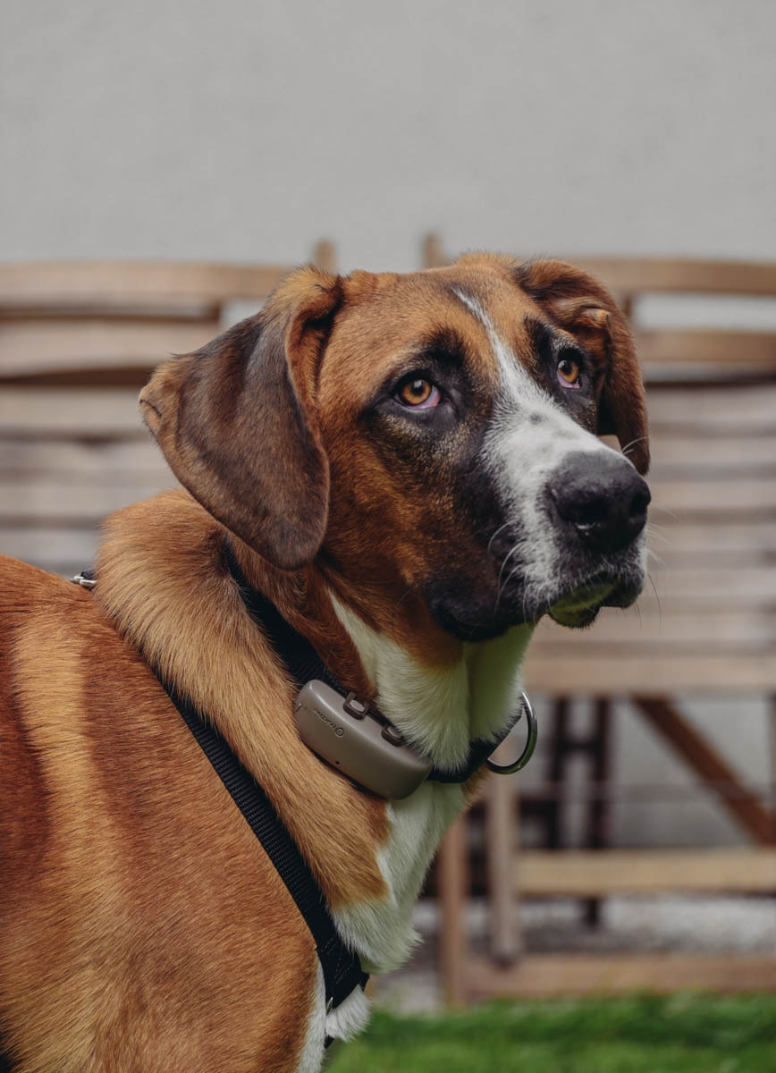 neues Foto November 2025