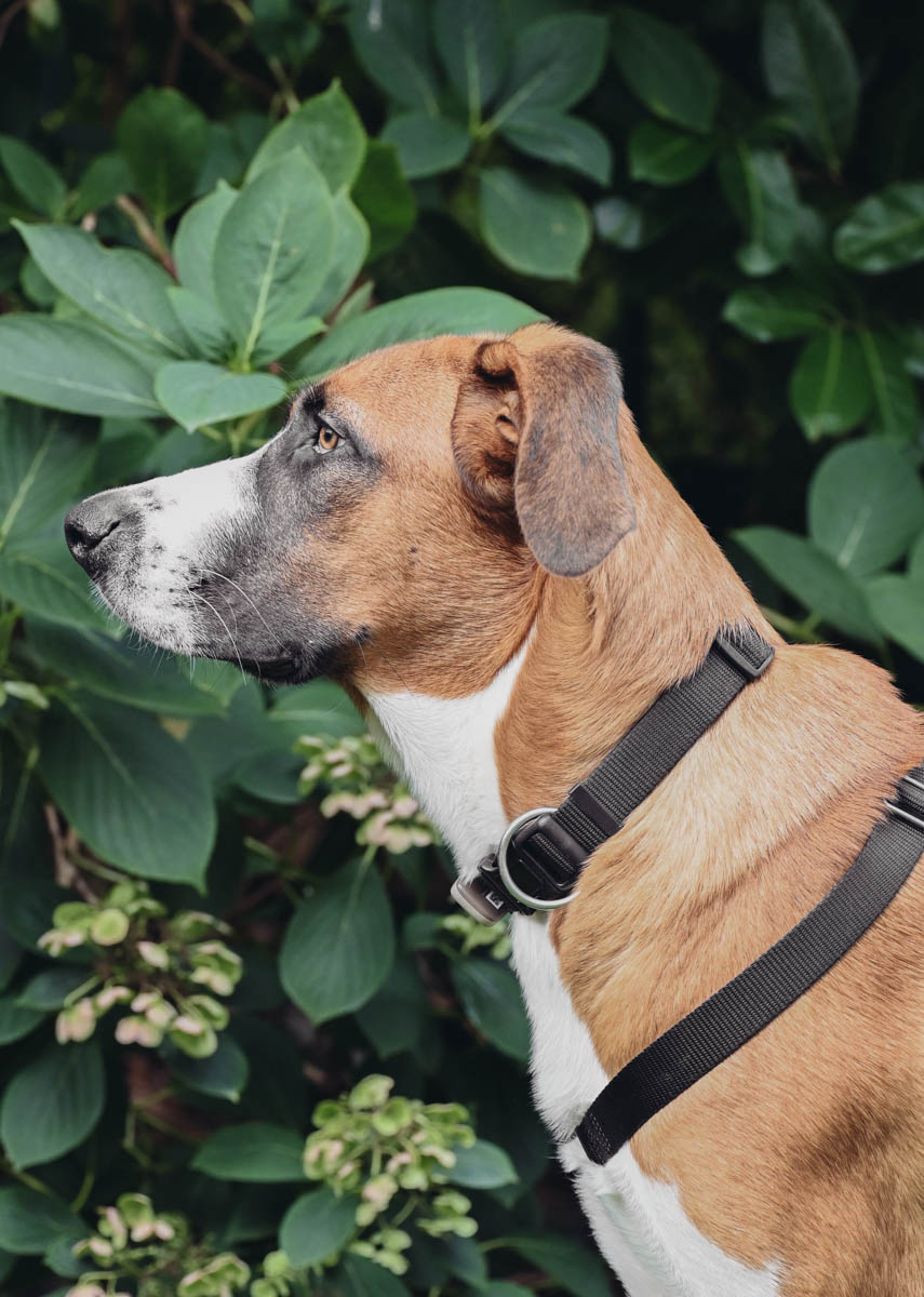 neues Foto November 2025